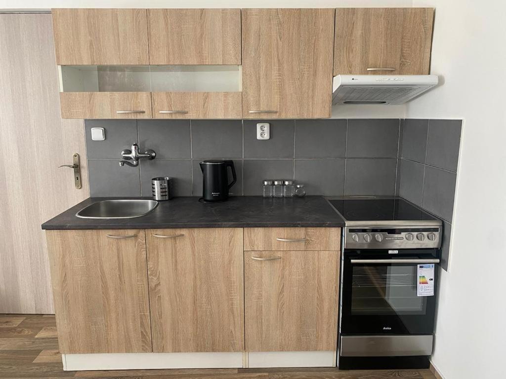 Cerna Ruze - Apartman 4 Plzeň Exterior foto