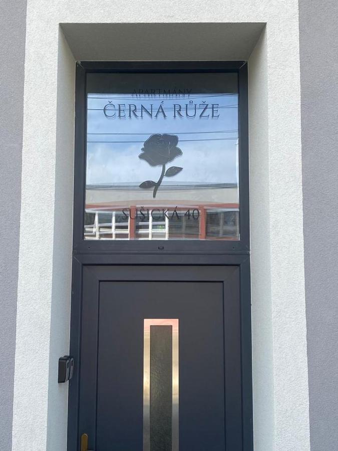 Cerna Ruze - Apartman 4 Plzeň Exterior foto